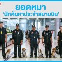 K9,K-9 พันธุ์บีเกิล