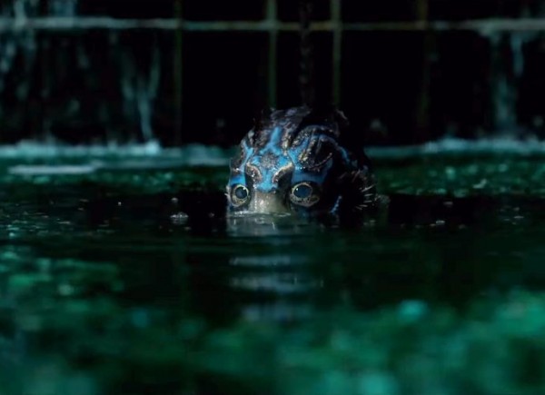 The Shape of Water