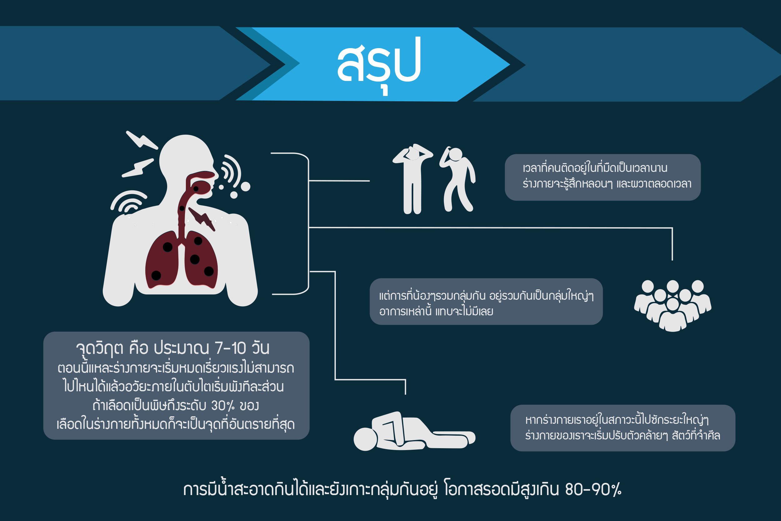 ทีมหมูป่า