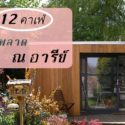 12 คาเฟ่