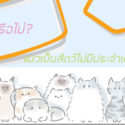 แมว